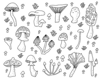 MUSHROOMS / Fungi, Mushroom garden / Digital PNG + EPS Vector Cliparts / for personal and commercial use