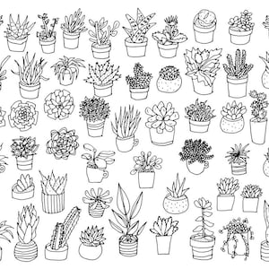 53 Succulent Doodles / Digital PNG Clipart Graphics / + EPS Vector Files / for personal and commercial use