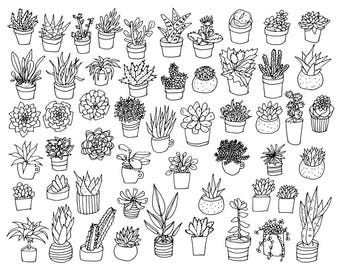 53 Succulent Doodles / Digital PNG Clipart Graphics / + EPS Vector Files / for personal and commercial use