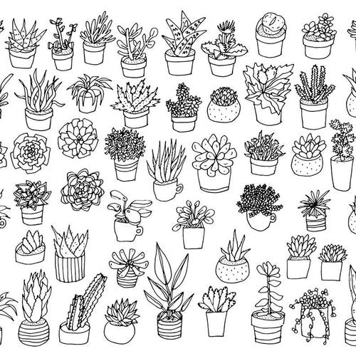 53 Succulent Doodles / Digital PNG Clipart Graphics / EPS | Etsy