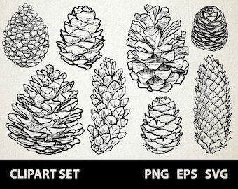 Kottar / Digital clipartgrafik / SVG, PNG, EPS / Gran, tall, lärk, träd / Klottrade linjekonstillustrationer för kommersiellt bruk