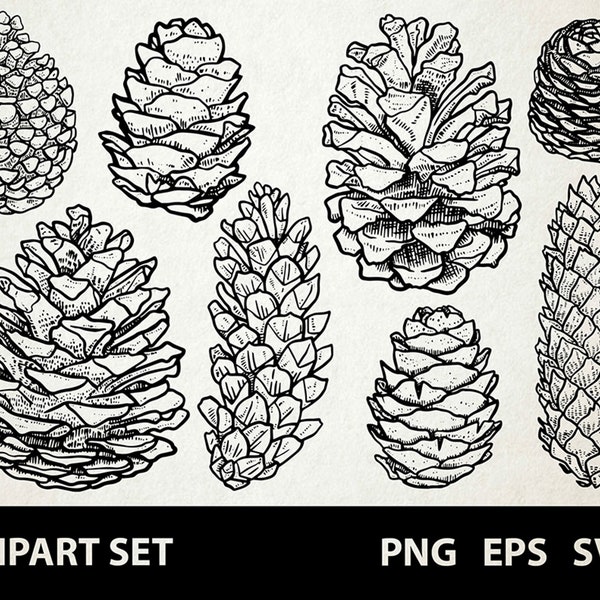 Cones / Digital Clip Art Graphics / SVG, PNG, EPS / Fir, Pine, Spruce, Larch, Tree / Doodled Line Art Illustrations for commercial use