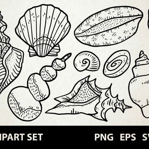 Può includere: Un set di nove disegni in bianco e nero di conchiglie. I disegni includono una varietà di forme e dimensioni, tra cui una conchiglia di conchiglia, una conchiglia di capesante e una conchiglia a spirale.