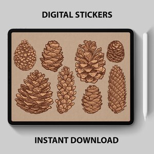 Könnte beinhalten: Digitale Sticker mit acht braunen Tannenzapfen in verschiedenen Formen und Größen. Die Tannenzapfen sind im Vintage-Stil auf braunem Hintergrund gezeichnet.