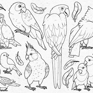 May include: A black and white line drawing of nine different types of parrots. The parrots are all in various poses, some are perched on branches, while others are flying. The drawing is on a white background.