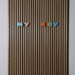 Personalized Kids Wall Hooks for Acoustic Panels, Boy Room Decor, Acoustic Panel Accessories, Wall panel coat hook, Nursery Wall Decor
