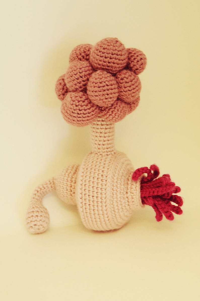Amigurumi Pattern / Crochet Pattern / Photo Tutorial / Instant Download image 2