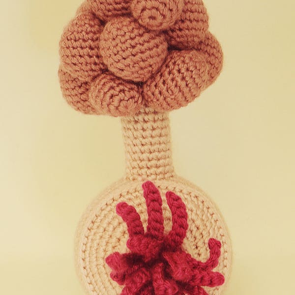 Amigurumi Pattern / Crochet Pattern / Photo Tutorial / Instant Download