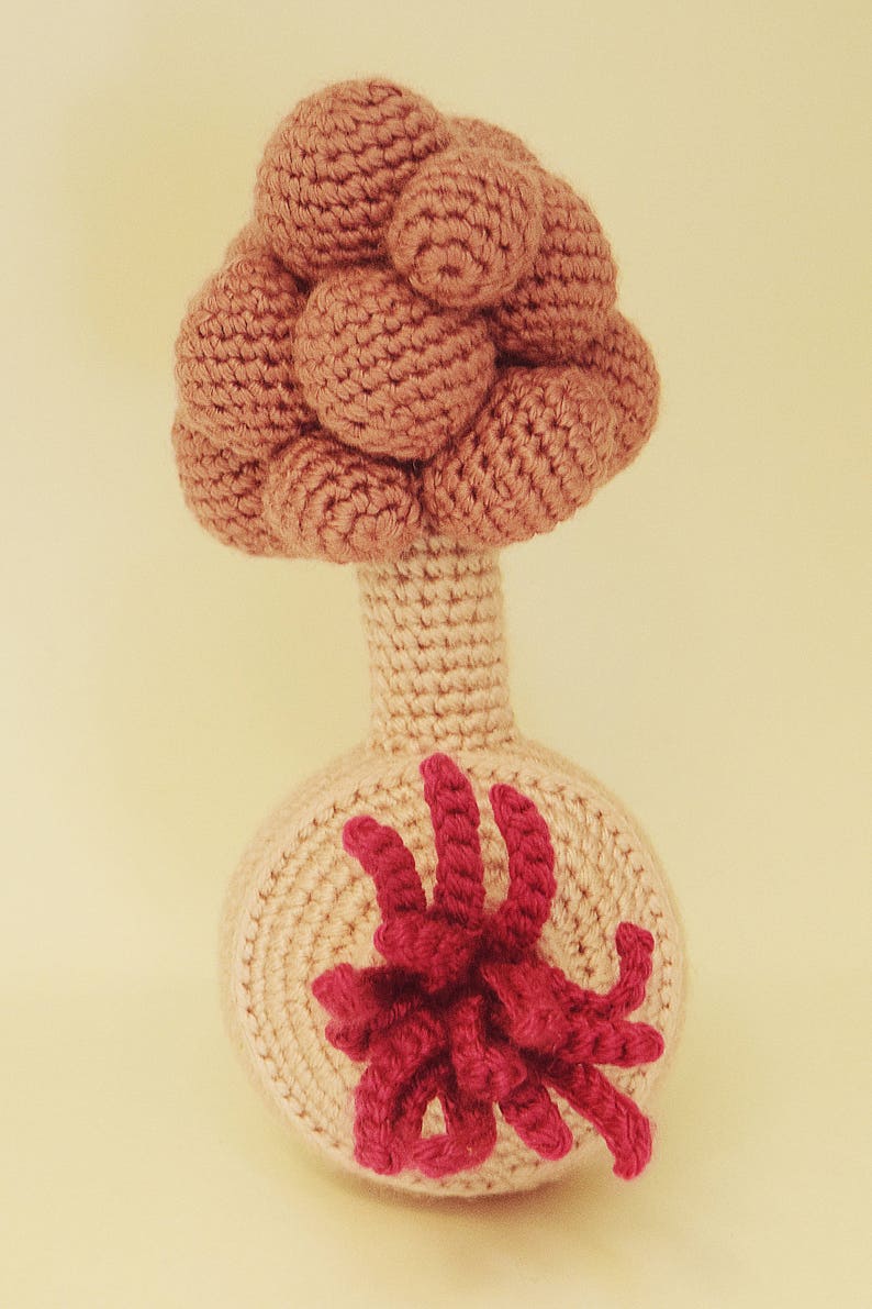 Amigurumi Pattern / Crochet Pattern / Photo Tutorial / Instant Download image 1