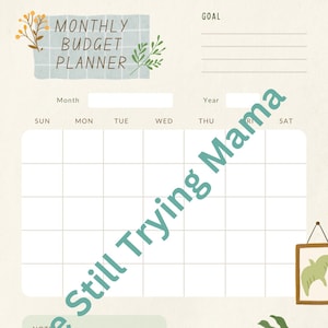 Budget Planner | Digital Download | Cash Breakdown | Sinking Funds | Weekly Expenses Tracker | Monthly Budget