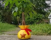 Animal Crossing Bell Money Bag LARGE Succulent Planter