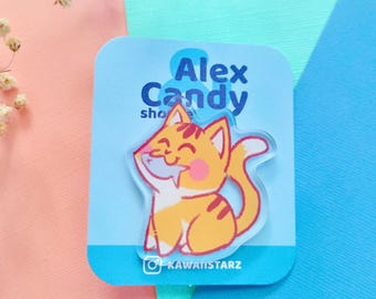 Cute Orange Tabby Cat Fish Acrylic Pin