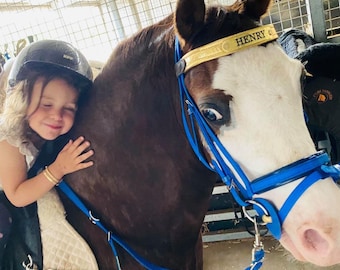 Braided Contact Reins To Help With Balance In Children & Beginners