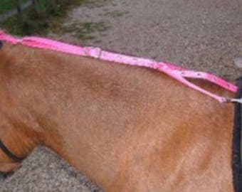 child bolsa with reins