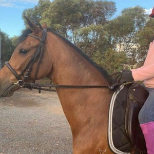 Adjustable Leather Loop Reins – Handmade in Australia for Beginners & Training
