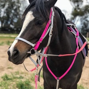 Horse Endurance Bridle Halter Reins & Breastplate Set