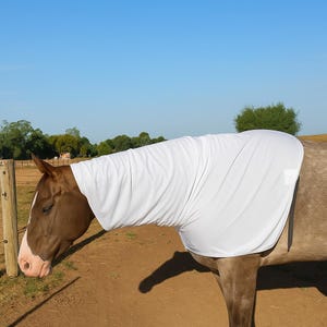 Horse Neck Rug Mane Saver Kool Tube With Satin Strip Lined - All Year Protection - Australian Made