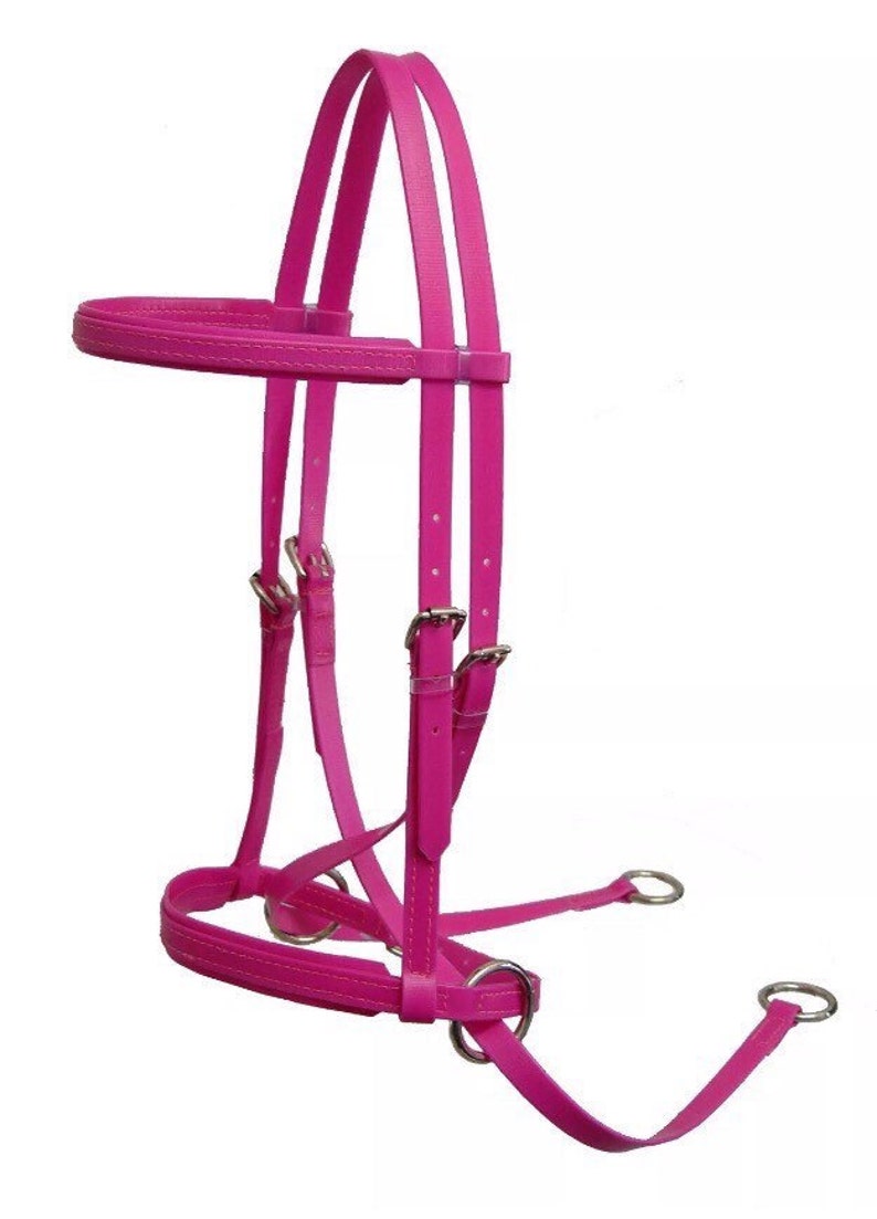 Horse Lunge Converter Strap Tough Nylon Webbing In Navy Pink Green Orange