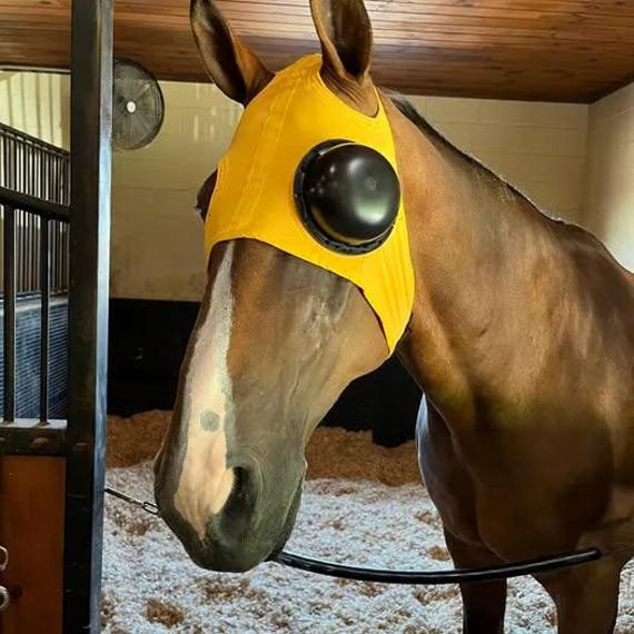 Racing Blinders Horse Racing Eye Mask - Blinker Blinders For Training ...