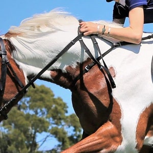 Horse Double Neck Strap Jumping Eventing Hunting Safety