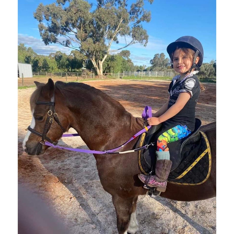 Marker Contact Reins For Children & Beginners For Aid Of Balance With Coloured Grip Markers image 1