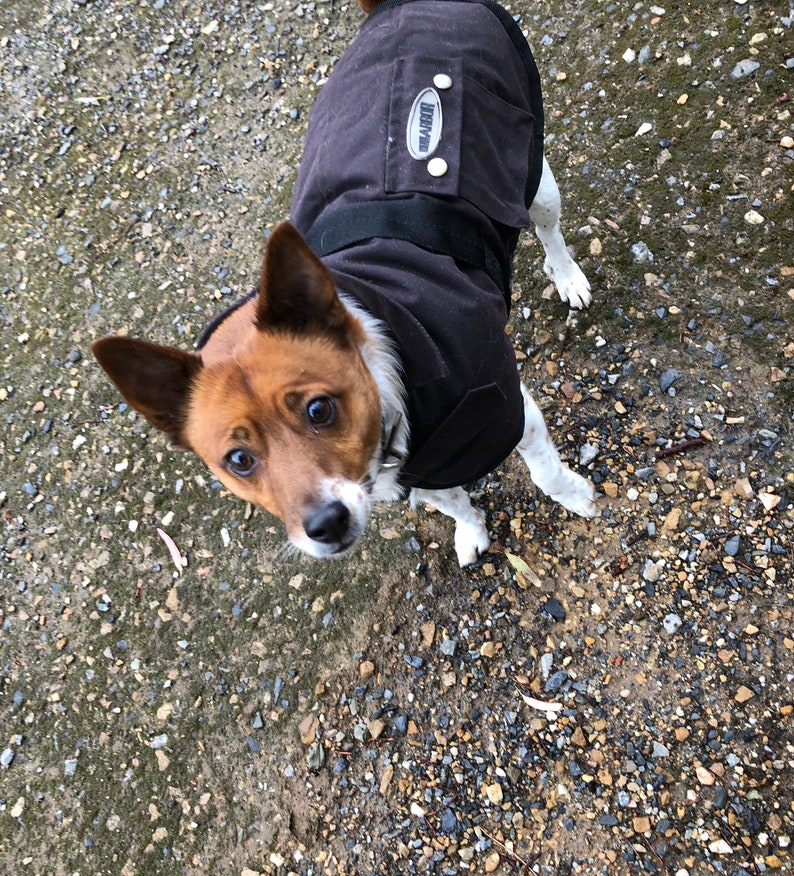 Oilskin Dog Coat Nullarbor Rug Waterproof Winter Sherpa Fur Lined FREE