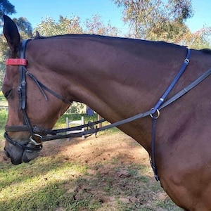 Balance Martingale For Stabilising Control Fully Adjustable Pony Cob Full X-Full Brass Fittings