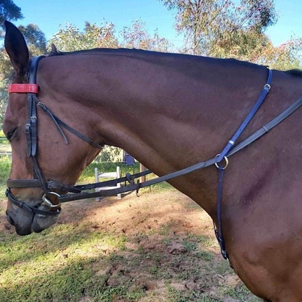 Balance Martingale zur Stabilisierung der Kontrolle voll einstellbar Pony Cob Full X-Voll NICKEL BESCHLÄGE