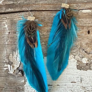 May include: A pair of handmade feather earrings. Each earring features a large, vibrant turquoise feather with a cluster of brown and black feathers at the top. The earrings have silver-colored hooks and small, rectangular attachments.