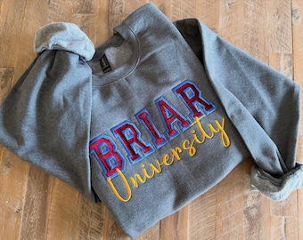 Velvet Appliqué Varsity Sweatshirt | Embroidered University Crewneck | Hockey Romance Inspired | Preppy College Style Pullover