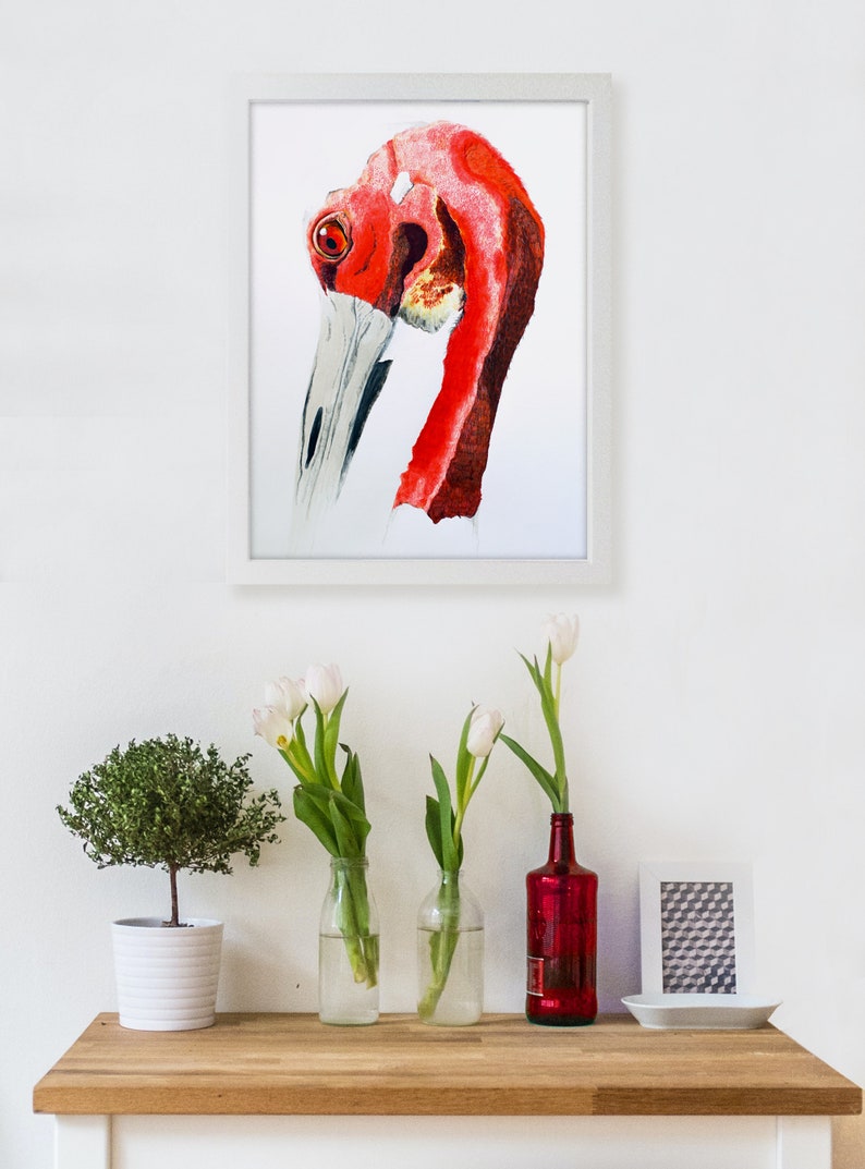 Sarus crane habitat picture