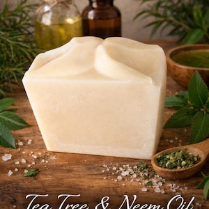 Tea Tree & Neem Oil Soap (each)