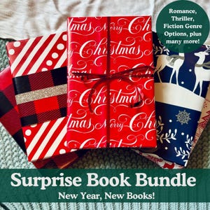 Blind Date with a Book Surprise Book Bundle 2024 2025 | 12 Days of Books | Custom Book Gift Set | Mystery Dark Romance Book Lovers Present