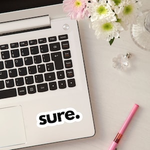 Adesivos de vinil engraçados e sarcásticos, decalque engraçado para laptop, adesivos de sarcasmo, pingente Kindle, adesivos para garrafas de água