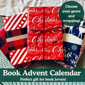 Blind Date with a Book Box Personalized Library Book Lover Gift, Surprise Book Gift for Readers, Book Club Custom Present, Romantasy Mystery