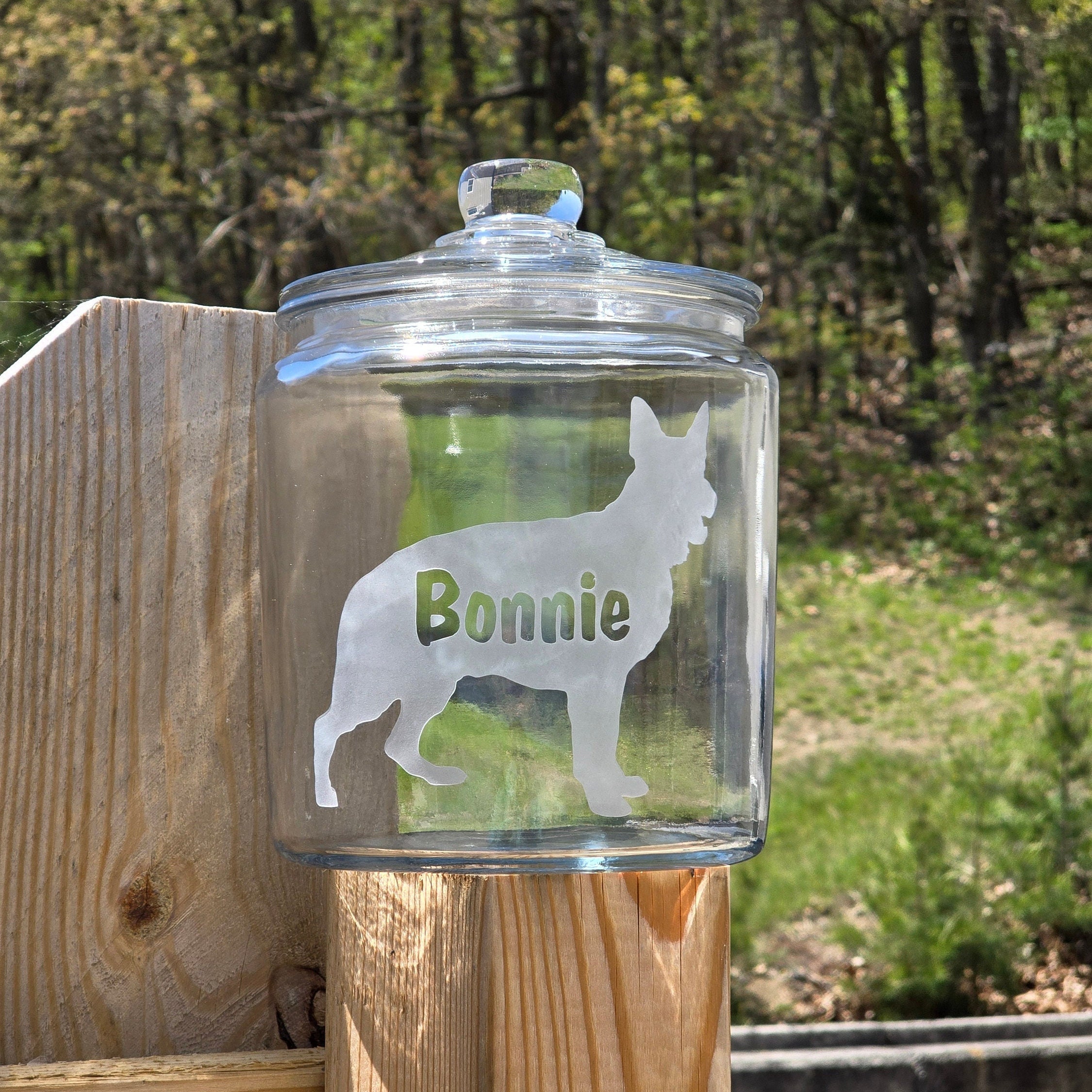 Pet Treat Jar Etsy