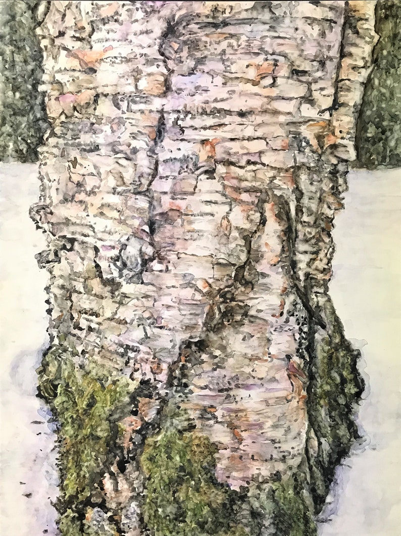 Winter Birch Winter Birch