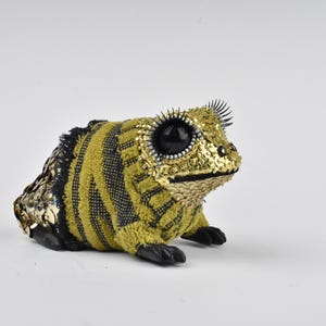 Sweater Frog
