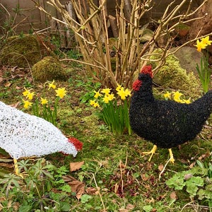 Handmade wire sculpture chicken / hen. Metal garden Sculpture. Handmade. Garden ornament. Garden decor. Animal. Bird. Handcrafted. Unique image 1