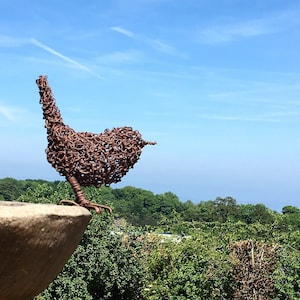 Wren wire sculpture. Wire bird. Wren. Bird. Garden art. Garden decor. Garden statue. Garden ornament. Garden decoration. Outdoor. Garden