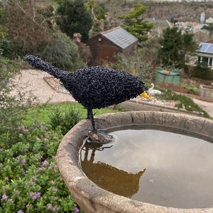 Blackbird wire sculpture. Wire art. Blackbird. Bird. Garden art. Garden decor. Garden statue. Garden ornament. Garden decoration. Outdoor. image 1