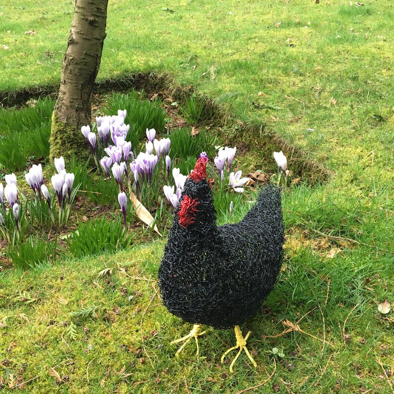 Handmade wire sculpture chicken / hen. Metal garden Sculpture. Handmade. Garden ornament. Garden decor. Animal. Bird. Handcrafted. Unique image 3