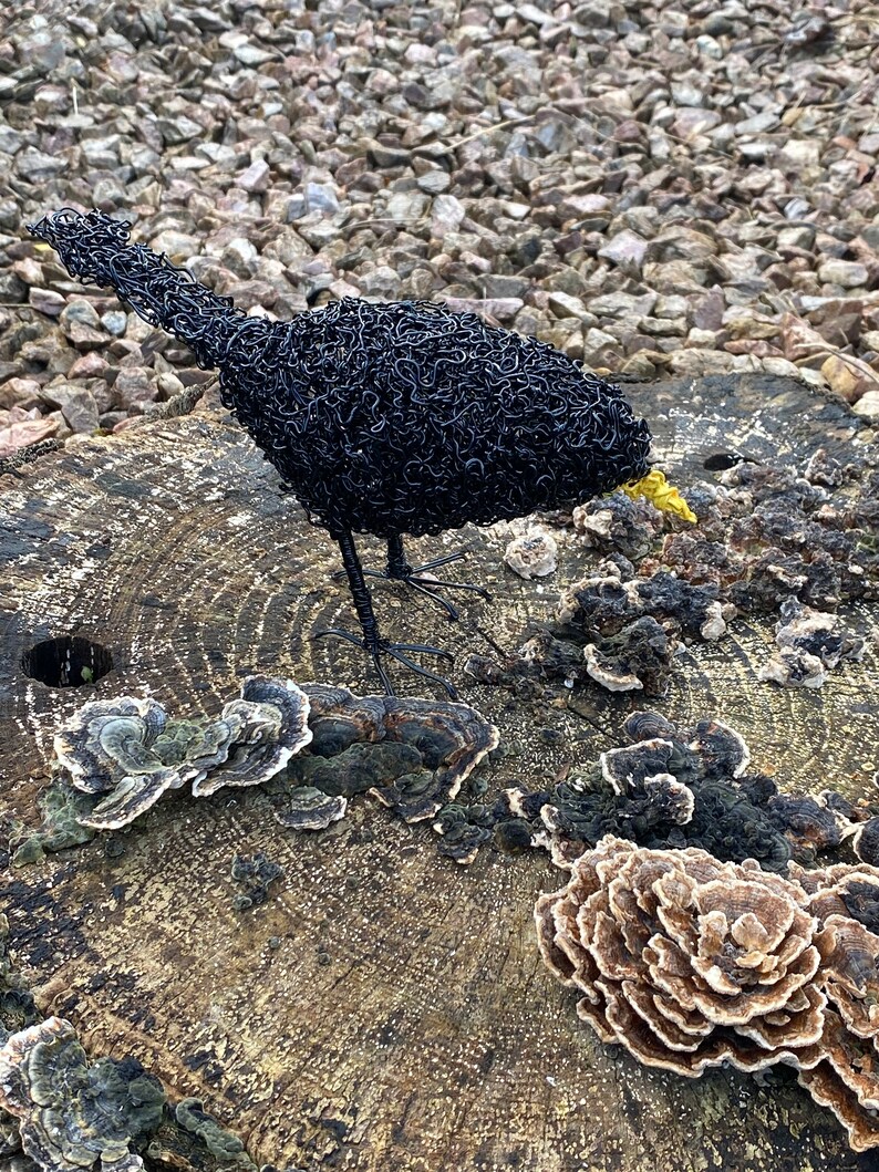 Blackbird wire sculpture. Wire art. Blackbird. Bird. Garden art. Garden decor. Garden statue. Garden ornament. Garden decoration. Outdoor. image 2