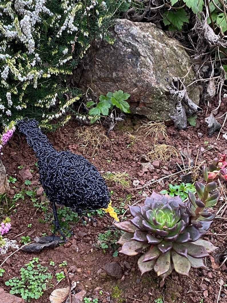 Blackbird wire sculpture. Wire art. Blackbird. Bird. Garden art. Garden decor. Garden statue. Garden ornament. Garden decoration. Outdoor. image 6