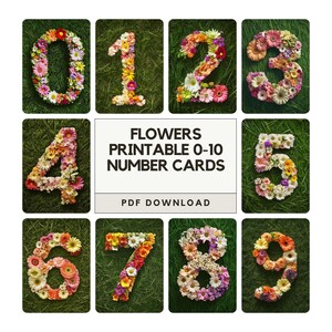 Schede numeriche stampabili dalla natura 0 alla 10, fiori estivi, risorsa matematica naturale ispirata a Montessori Reggio per casa, asilo nido, EYFS, scuola materna