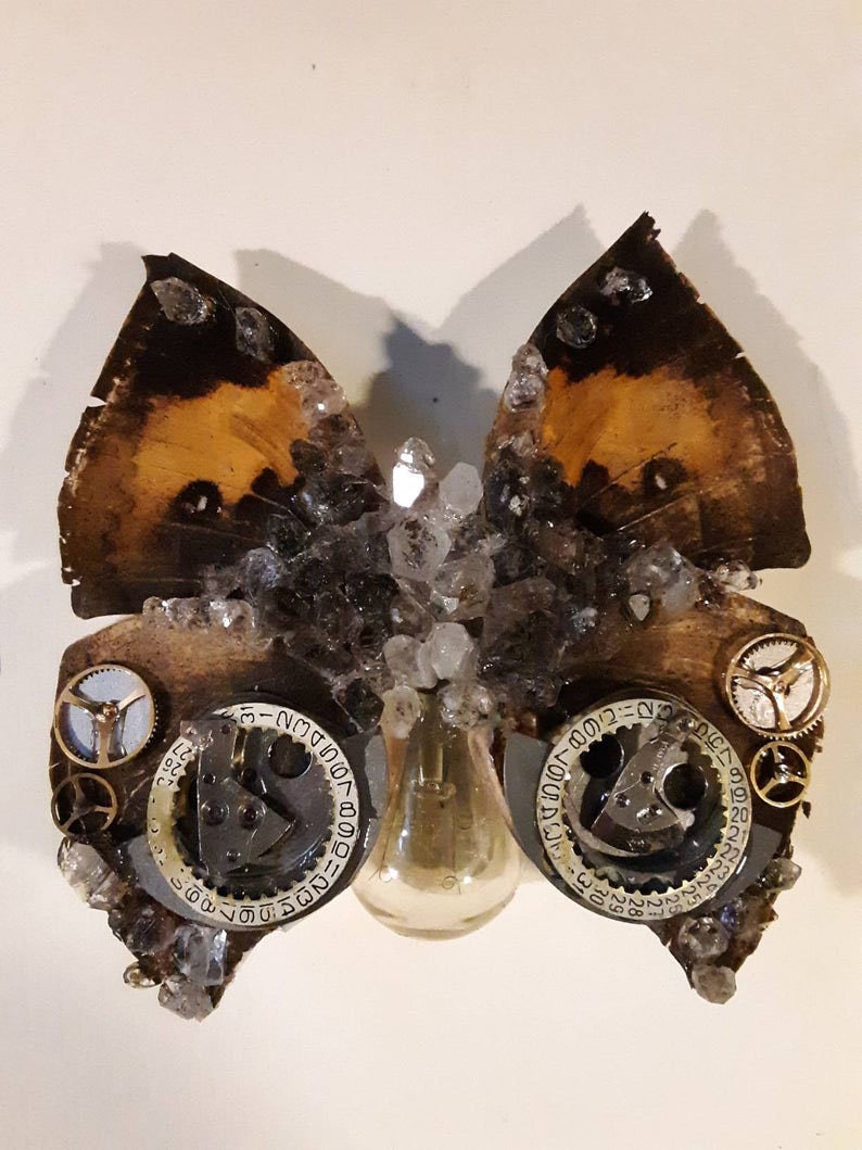 Buy Crystallized Steampunk Butterfly, Insect Taxidermy, Steampunk Decor ...