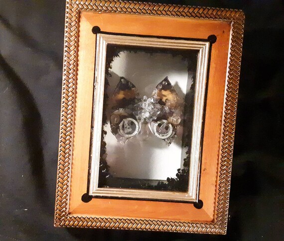 Crystallized Steampunk Butterfly Insect Taxidermy Steampunk | Etsy India