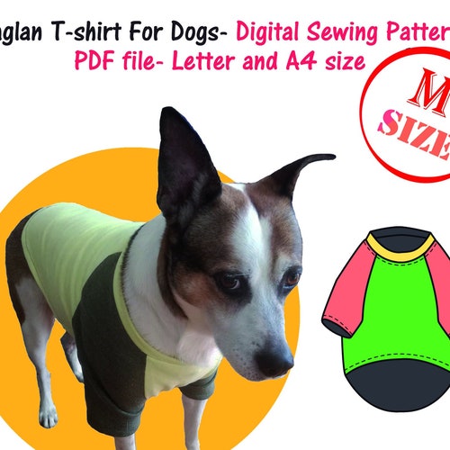 Small Dog Raglan Tshirt Sewing Pattern PDF Dogs Tshirt Etsy