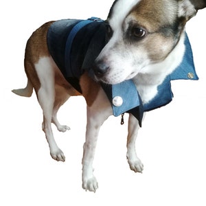 Large Dog's Rock'n'roll Jacket Sewing Pattern, Digital File, Big Dog Clothes Sewing Pattern, Large Dog Vest Sewing Pattern, Big Dog's Vest image 6