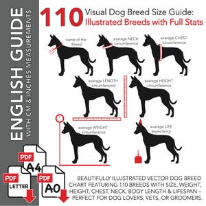 May include: A visual dog breed size guide with 110 illustrated breeds. The chart includes measurements in inches and centimeters for size, weight, height, chest, neck, body length, and lifespan. The text reads "English Guide with CM & Inches Measurements."